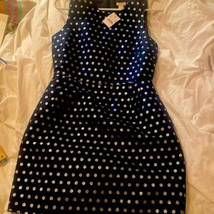 J crew Navy polka dot dress